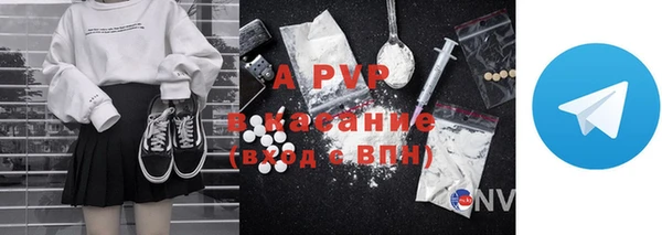 винт Лабытнанги
