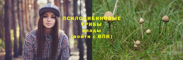 a pvp Кулебаки