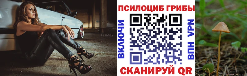 Псилоцибиновые грибы MAGIC MUSHROOMS  Купить закладки  Белоозёрский 